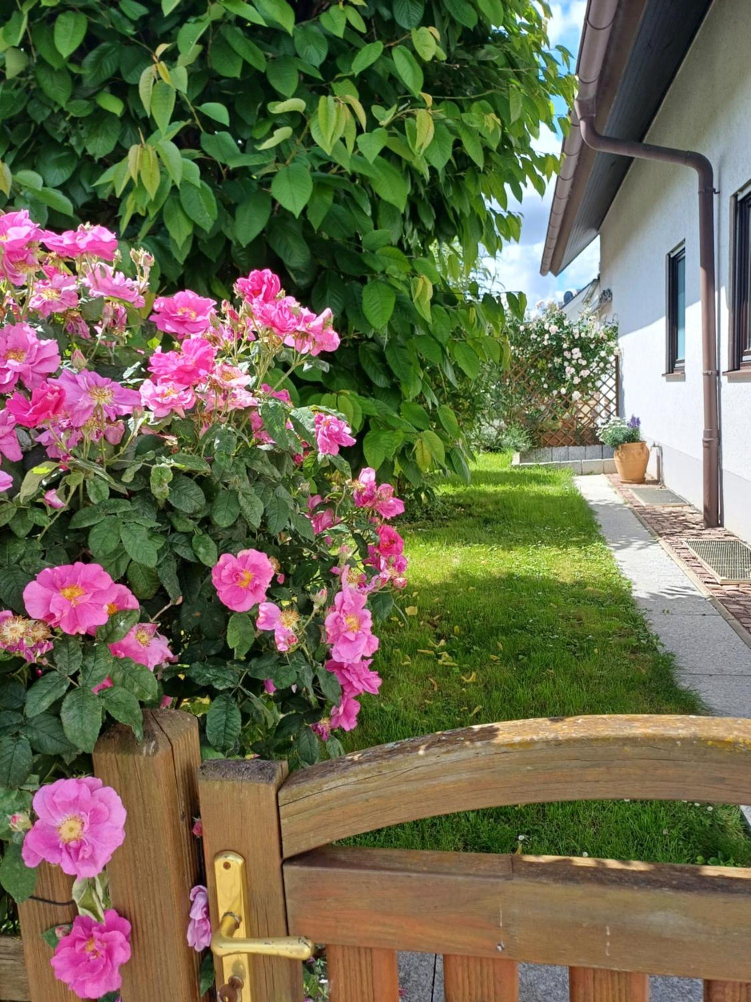 Ferienwohnung Unter Dem Sonnberg Auggen Ngoại thất bức ảnh